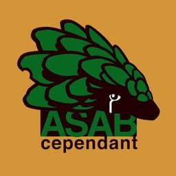 ASAB Cependant